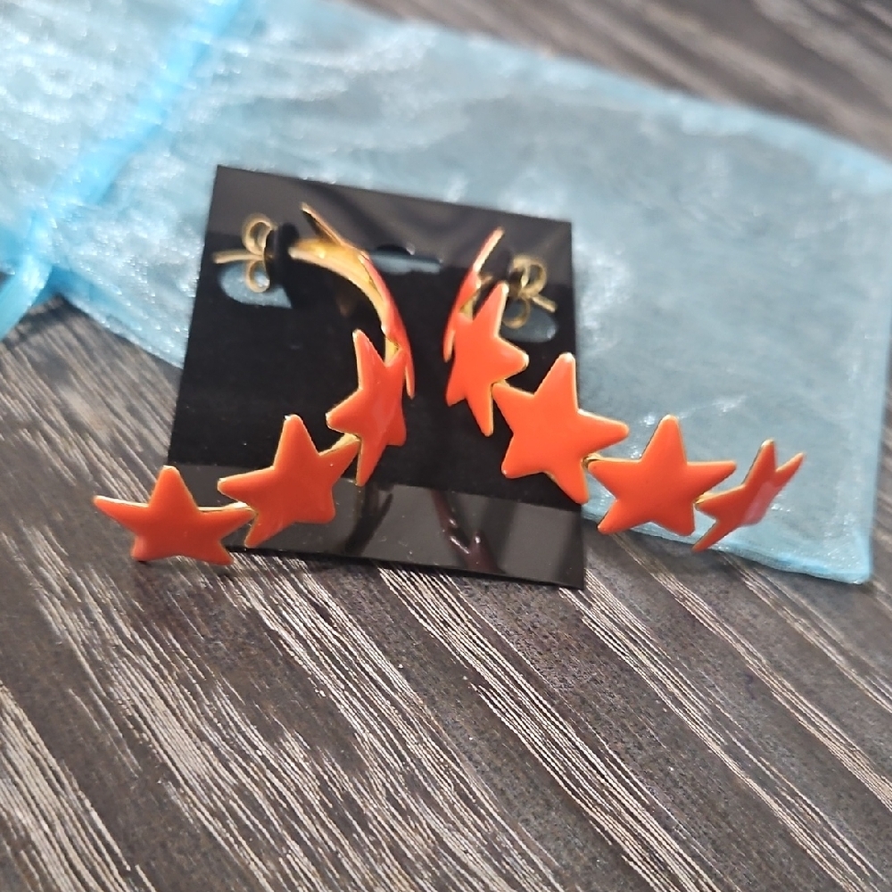 Sheila Fajl Resin Aaron Star Hoops